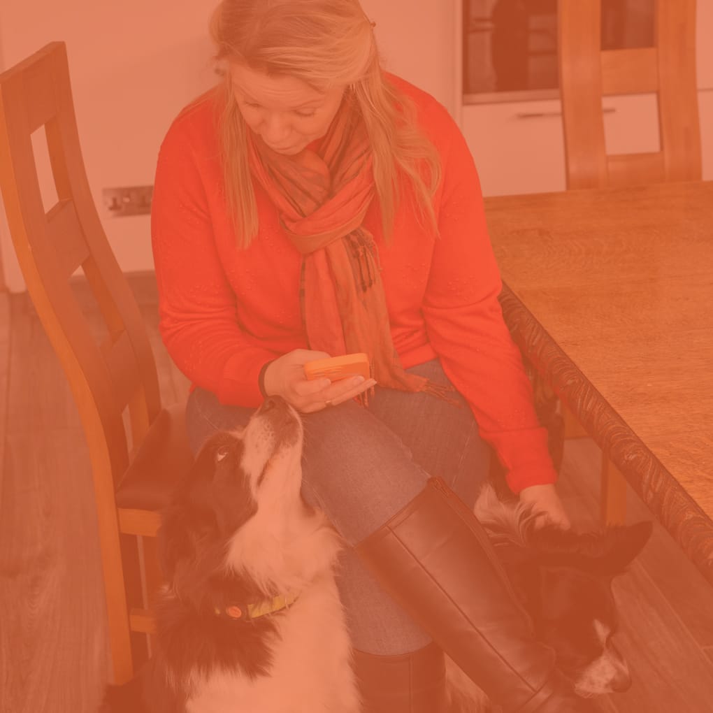 Top Bookkeeping Tips for Q4