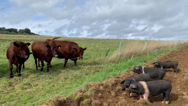 accounting for farms case study