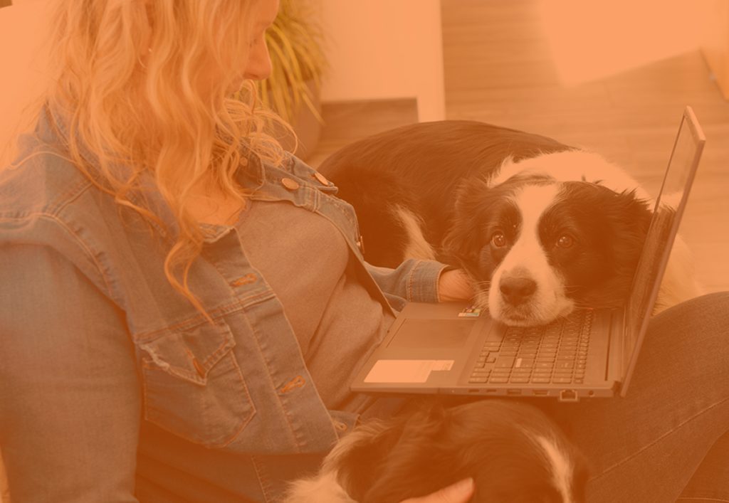 year-end-financial-advise-for-farmers